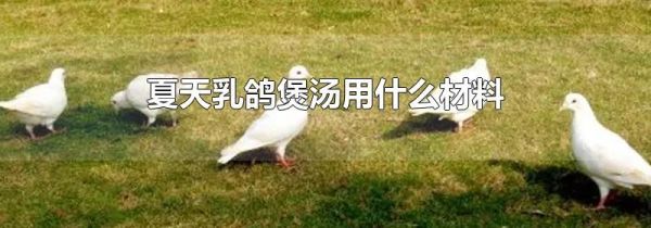 夏天乳鸽煲汤用什么材料