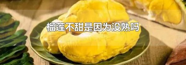 榴莲不甜是因为没熟吗