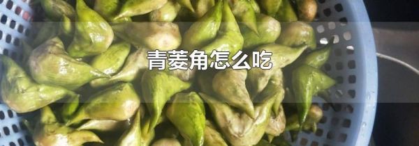 青菱角怎么吃