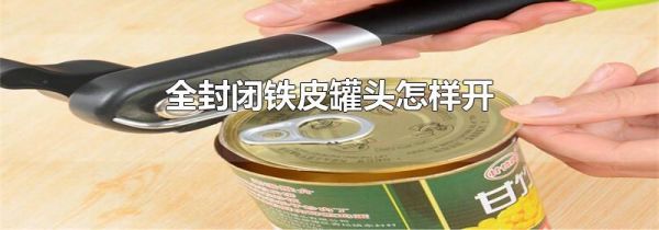 全封闭铁皮罐头怎样开