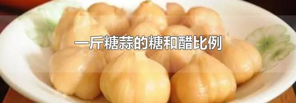 一斤糖蒜的糖和醋比例