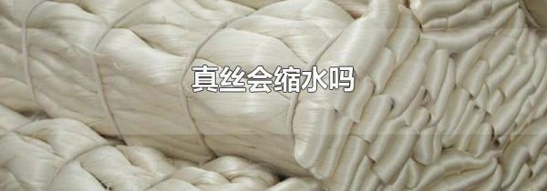 真丝会缩水吗