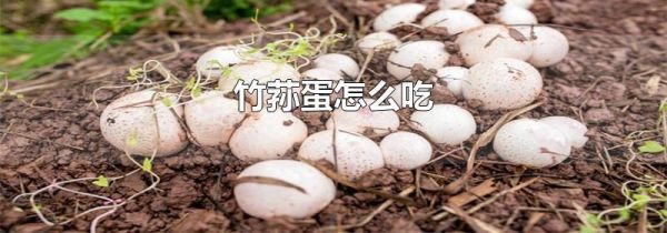 竹荪蛋怎么吃