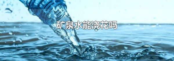 矿泉水能浇花吗
