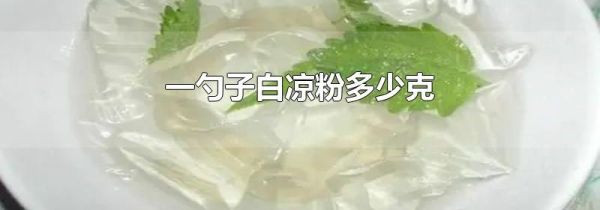 一勺子白凉粉多少克