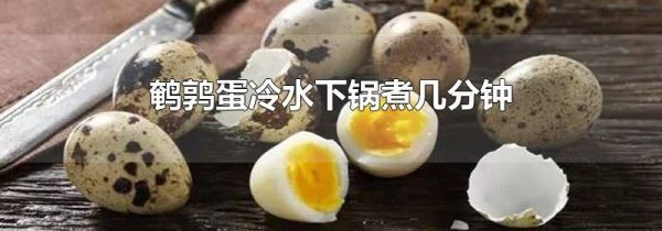 鹌鹑蛋冷水下锅煮几分钟