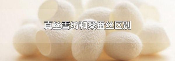 真丝雪纺和桑蚕丝区别