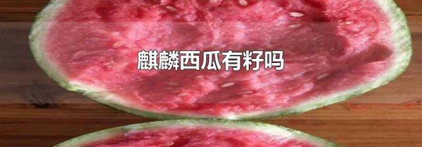 麒麟西瓜有籽吗