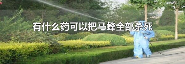 有什么药可以把马蜂全部杀死