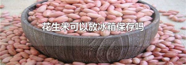 花生米可以放冰箱保存吗