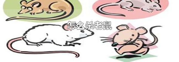 怎么杀老鼠