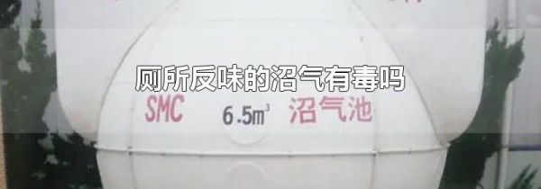 厕所反味的沼气有毒吗