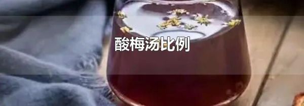 酸梅汤比例
