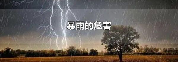 暴雨的危害