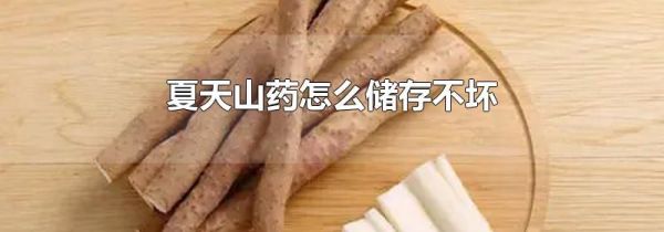 夏天山药怎么储存不坏