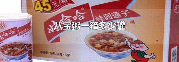 八宝粥一箱多少罐