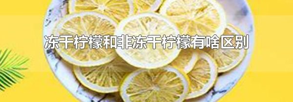 冻干柠檬和非冻干柠檬有啥区别