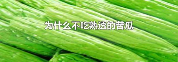 为什么不吃熟透的苦瓜