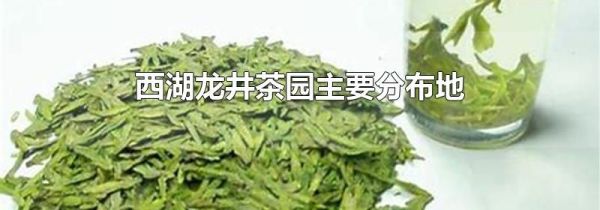 西湖龙井茶园主要分布地