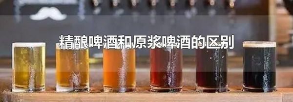 精酿啤酒和原浆啤酒的区别