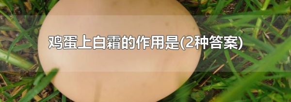 鸡蛋上白霜的作用是(2种答案)