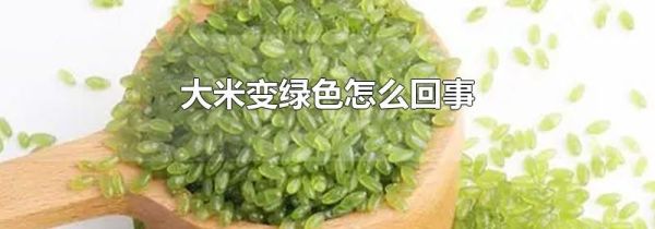 大米变绿色怎么回事