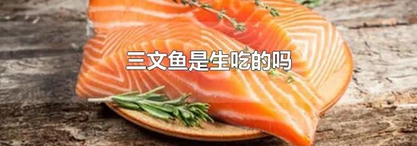 三文鱼是生吃的吗