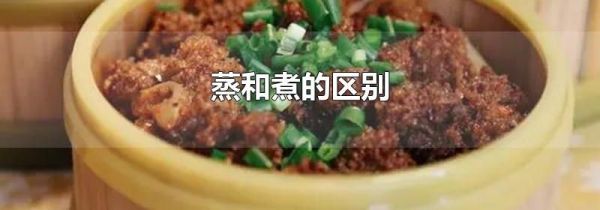 蒸和煮的区别
