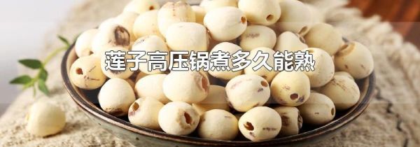 莲子高压锅煮多久能熟