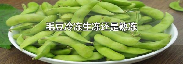 毛豆冷冻生冻还是熟冻