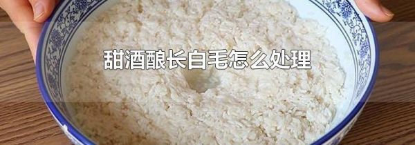 甜酒酿长白毛怎么处理