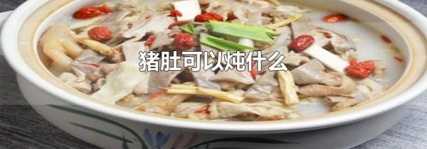 猪肚可以炖什么