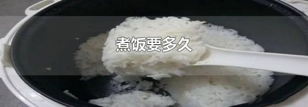 煮饭要多久
