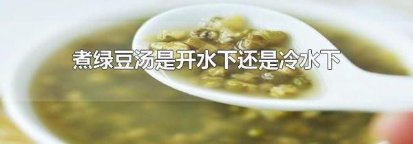 煮绿豆汤是开水下还是冷水下