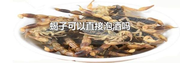 蝎子可以直接泡酒吗