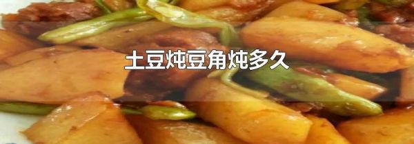 土豆炖豆角炖多久