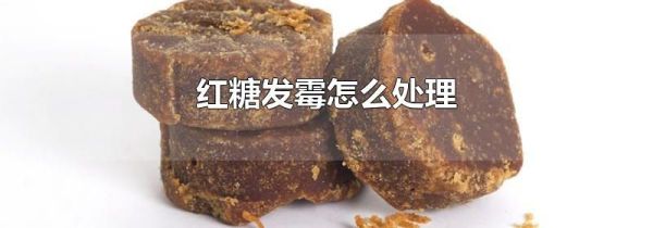 红糖发霉怎么处理