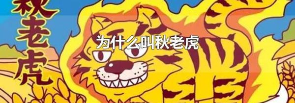 为什么叫秋老虎