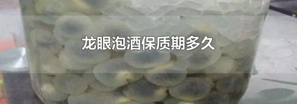 龙眼泡酒保质期多久