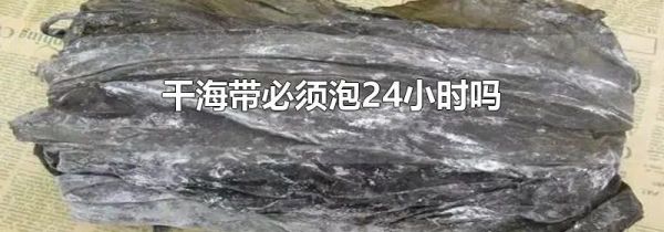 干海带必须泡24小时吗