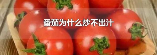 番茄为什么炒不出汁
