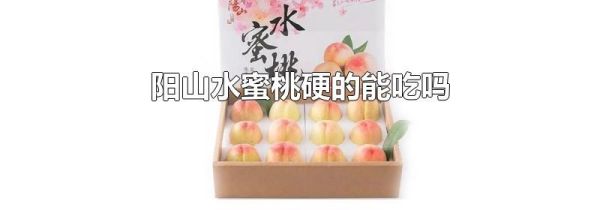 阳山水蜜桃硬的能吃吗