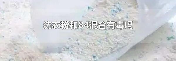洗衣粉和84混合有毒吗