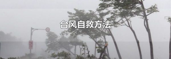 台风自救方法