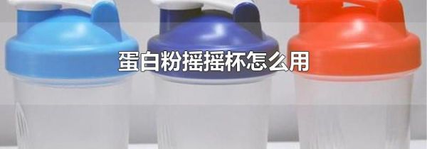 蛋白粉摇摇杯怎么用
