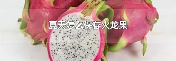 夏天怎么保存火龙果