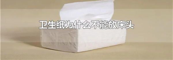 卫生纸为什么不能放床头