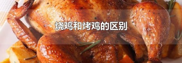 烧鸡和烤鸡的区别