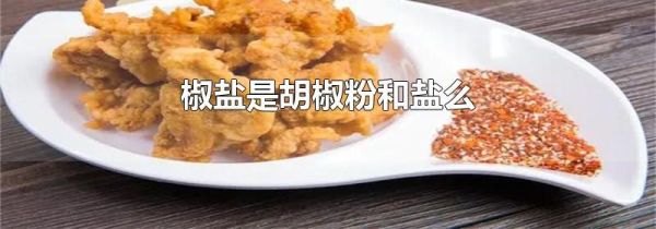 椒盐是胡椒粉和盐么