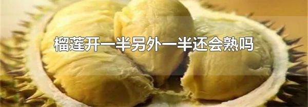 榴莲开一半另外一半还会熟吗
